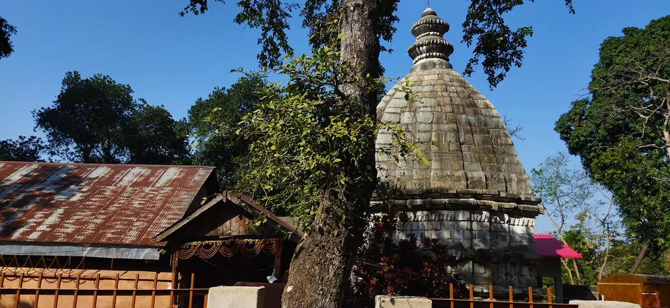 The weathered stone dome of Kedar Temple framed by trees on a hill at Hajo
