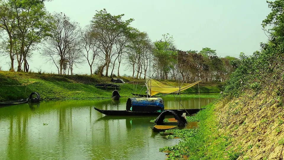 Wooden fishing boats on the calm green Kakodonga River lined with trees, Jorhat district