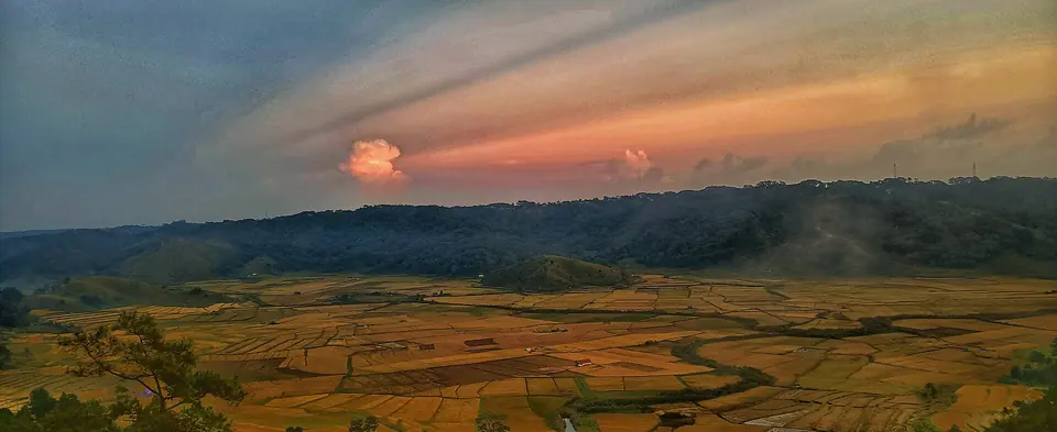 Orange sunset over golden paddy fields and low hills at Ladthlaboh on the edge of Jowai