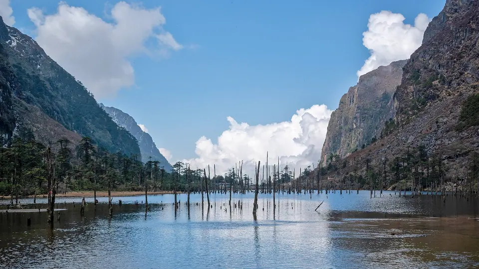 Dead tree trunks standing in the blue water of Madhuri (Shonga-tser) Lake between steep cliffs near Tawang