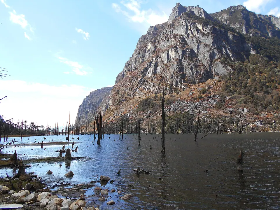 A rocky granite peak rising above Shonga-tser Lake and its drowned tree stumps, Tawang district