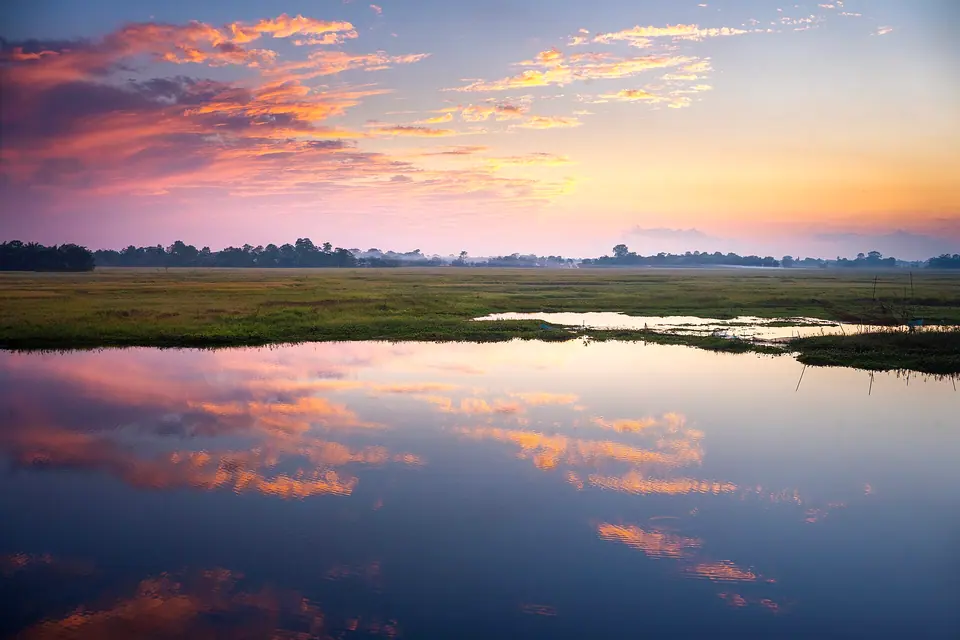 Pink and blue dawn sky reflected in flooded pasture on Majuli river island, Assam