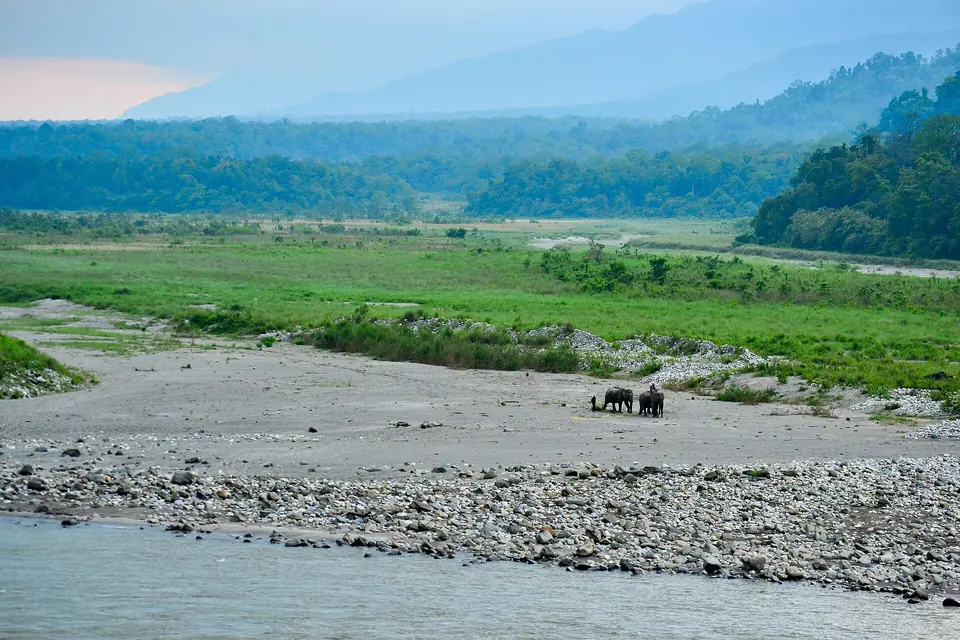 The braided Manas River and green grassland below the forested Bhutan foothills, Manas National Park
