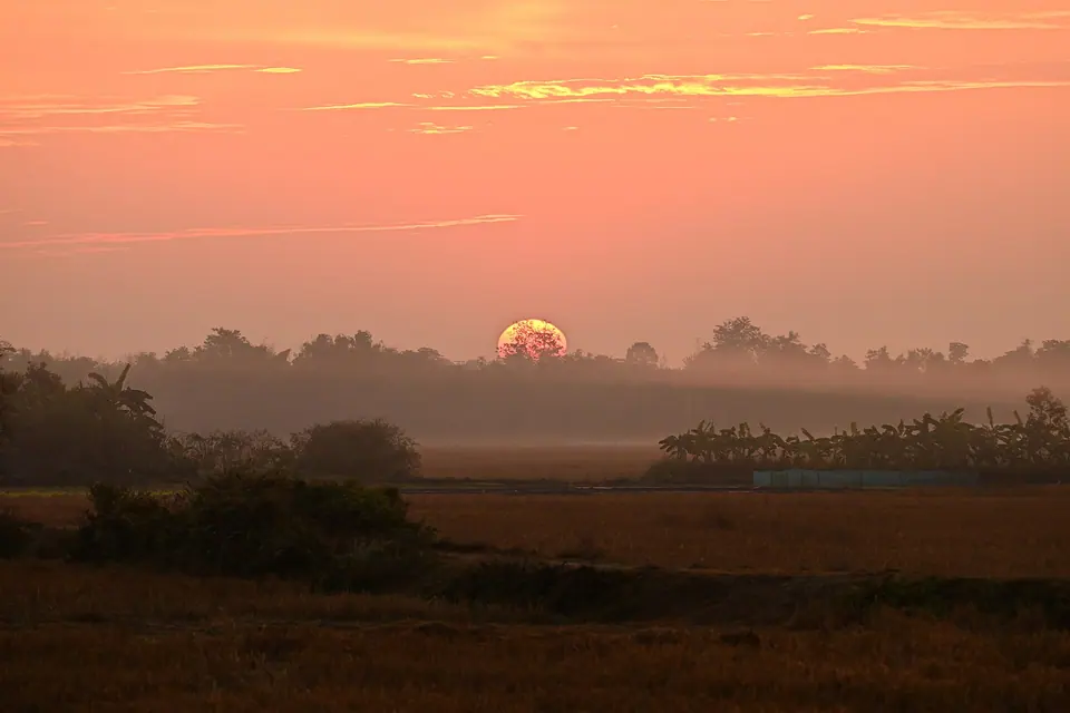 An orange sun rising through mist over the grasslands and tree lines of Manas National Park