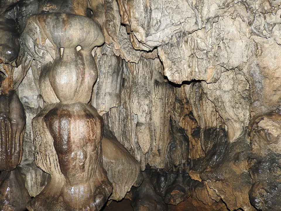 Brown and cream stalactites and flowstone hanging from the ceiling of Mawsmai Cave