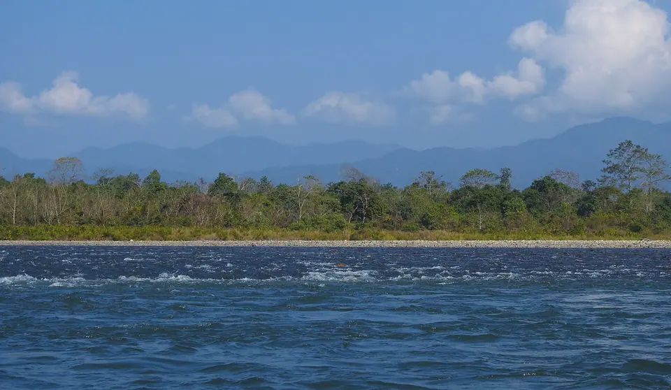 The Jia Bhoroli river running past forest, with the Arunachal foothills behind, Nameri National Park