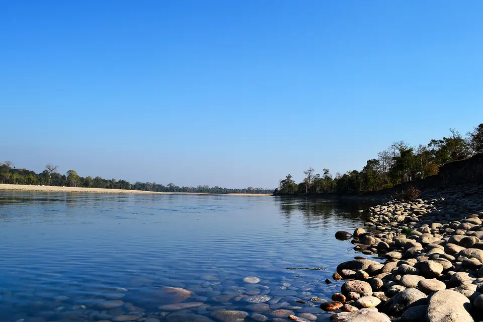 Clear blue river water and rounded stones along a forested bank in Nameri National Park