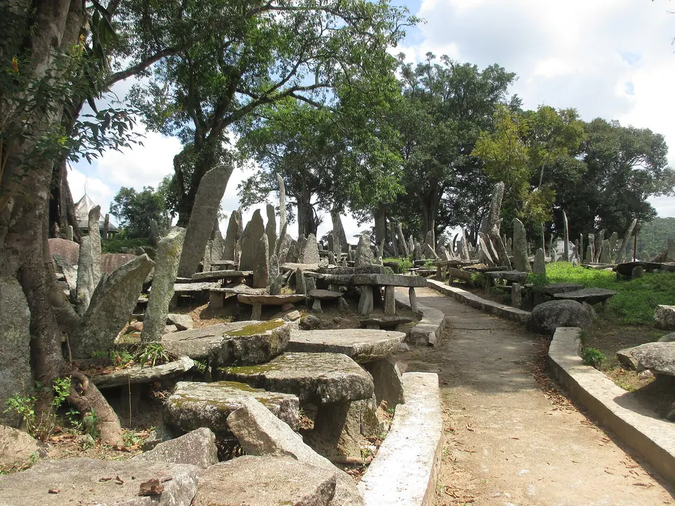 Dozens of upright menhirs and flat table stones under large trees at Nartiang, West Jaintia Hills