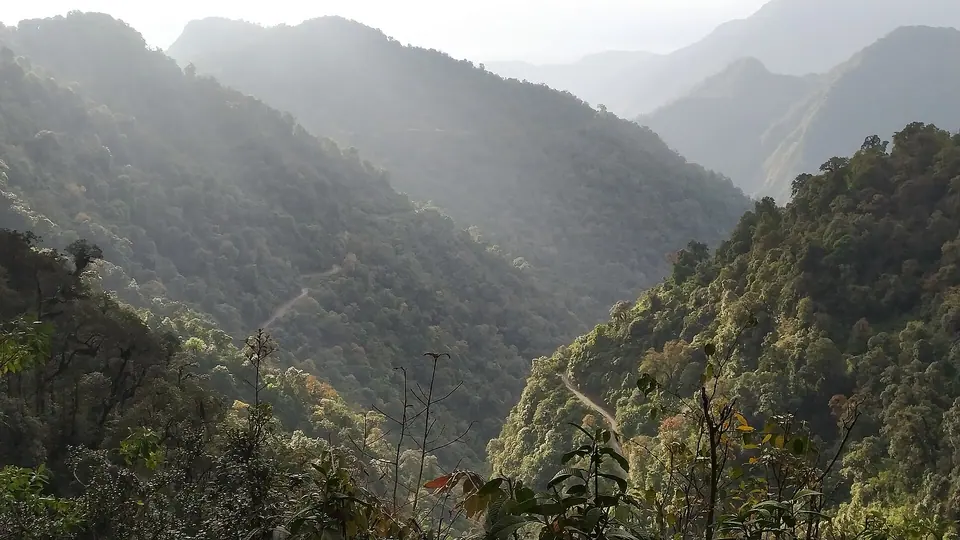 Sunlight on steep forested valleys of the Mishmi Hills near Mayodia Pass