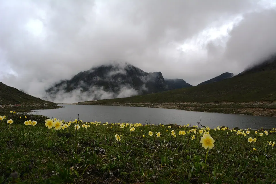 Yellow alpine flowers on the shore of Sela Lake with clouds low over the ridges