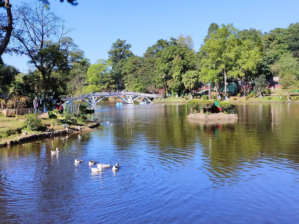 Ward's Lake in central Shillong with its arched footbridge, ducks and tall trees on a sunny day