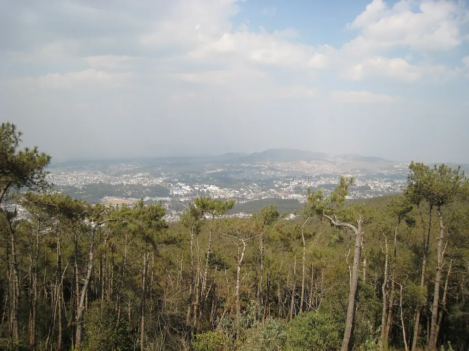 Pine trees on Shillong Peak framing a wide view over Shillong and the Khasi Hills